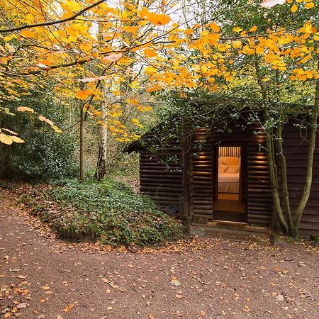 Pinetum Lodge Gloucester Værelse billede