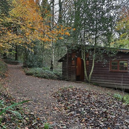 Pinetum Lodge Gloucester Værelse billede